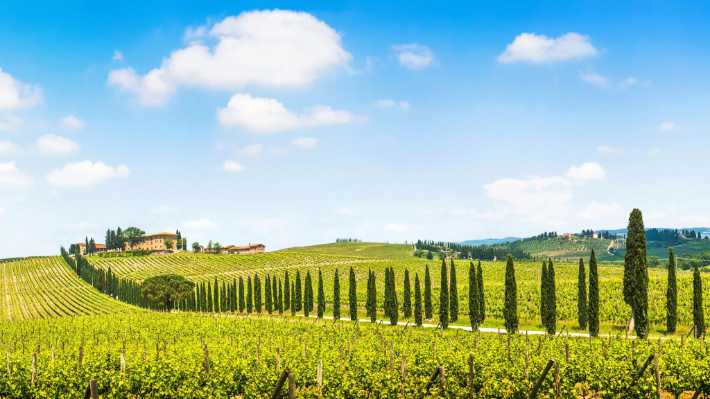 Tuscany: A Symphony of Colors and Flavors