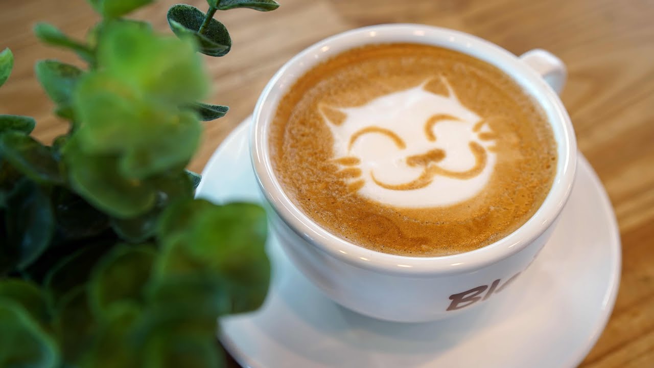 Cat latte art: A whimsical delight for coffee lovers