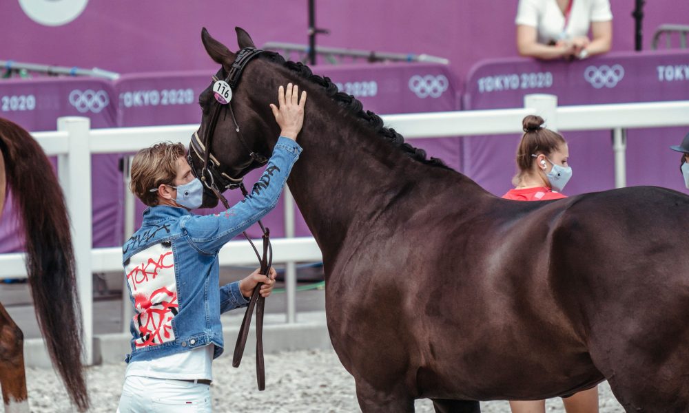 Examples of healthy top lines in horses