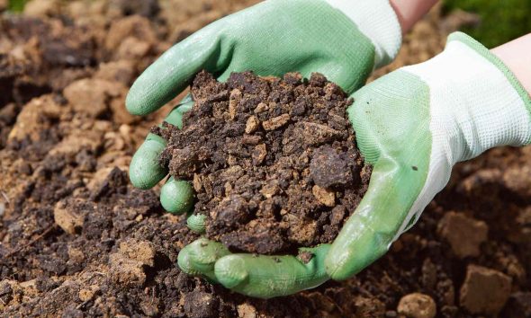 How to break up clay soil: Effective tips for your garden