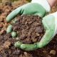 How to break up clay soil: Effective tips for your garden