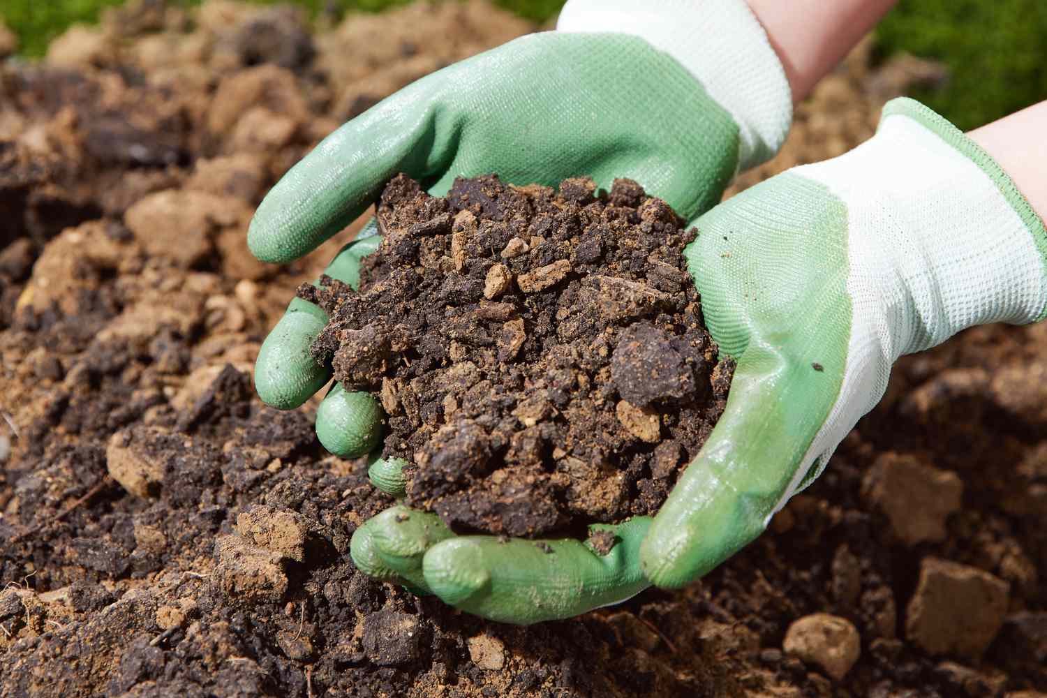 How to break up clay soil: Effective tips for your garden