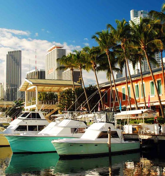 1 day in Miami what to do for an unforgettable experience