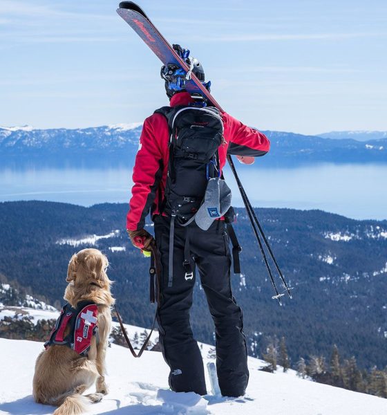 How to get a job as ski patrol California: A complete guide