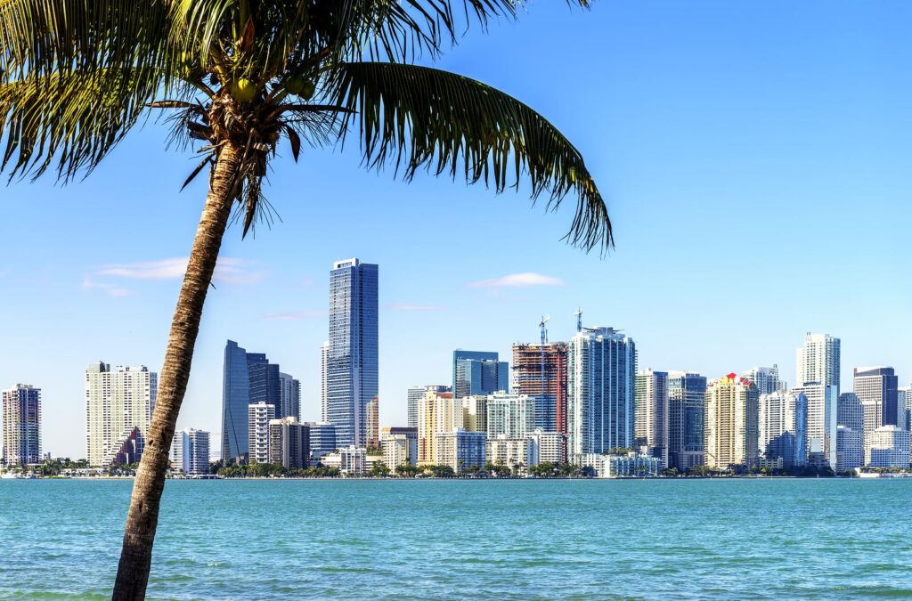 Late afternoon: Cruise Biscayne Bay