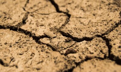 Recognizing the Key Signs of Dehydration