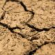 Recognizing the Key Signs of Dehydration
