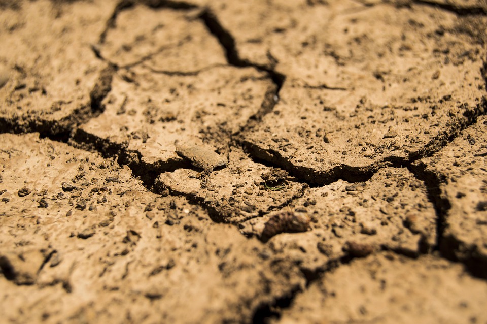 Recognizing the Key Signs of Dehydration Recognizing the Key Signs of Dehydration