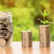 Top Investment Opportunities to Watch in 2025