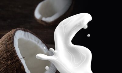 Ultimate Guide to Dairy Alternatives: What You Need to Know