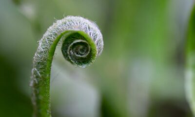 10 Personal Growth Tips for Career Success