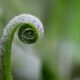 10 Personal Growth Tips for Career Success
