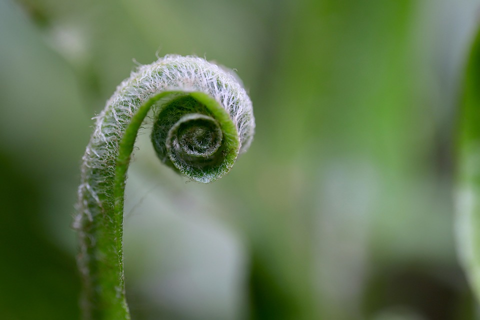 10 Personal Growth Tips for Career Success