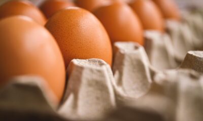 Eggless Baking: Top Substitutes for Perfect Treats