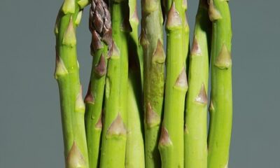Top 10 Heart-Healthy Foods for Better Business Wellness