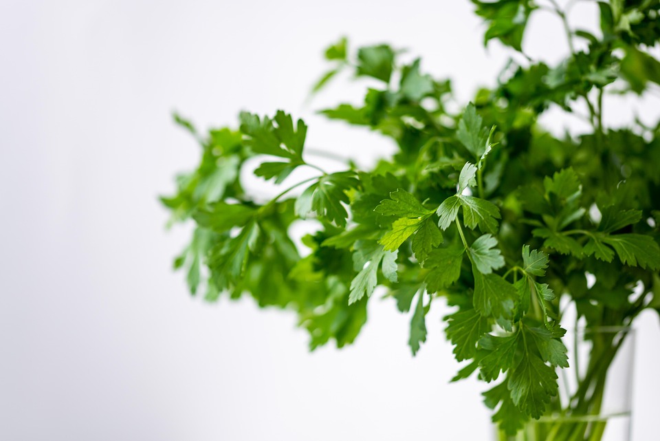 Top 10 Herbs and How to Use Them in Cooking