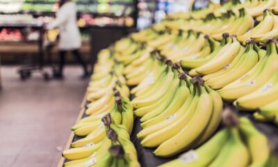 Top 10 Smart Grocery Shopping Tips for Savvy Shoppers