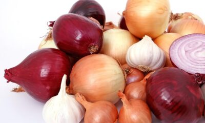 Top Cooking Mistakes You Need to Stop Making