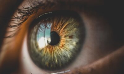 Top Foods to Boost Mental Clarity and Focus