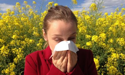 Top Tips to Prevent Seasonal Allergies This Year