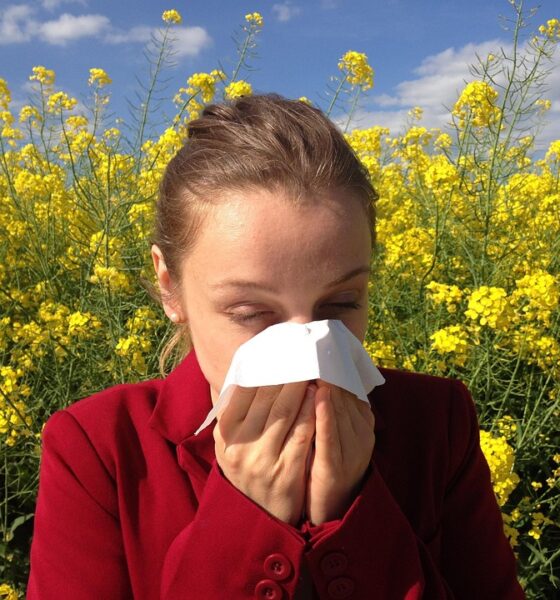 Top Tips to Prevent Seasonal Allergies This Year