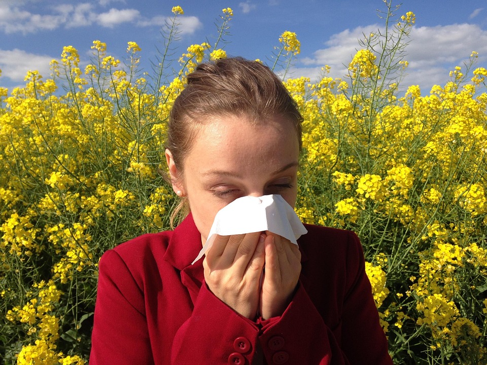 Top Tips to Prevent Seasonal Allergies This Year Top Tips to Prevent Seasonal Allergies This Year