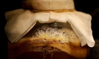 Understanding Fermentation: A Key to Food Preservation