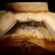 Understanding Fermentation: A Key to Food Preservation