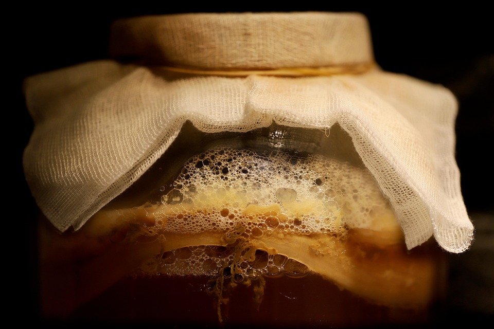 Understanding Fermentation: A Key to Food Preservation Understanding Fermentation: A Key to Food Preservation