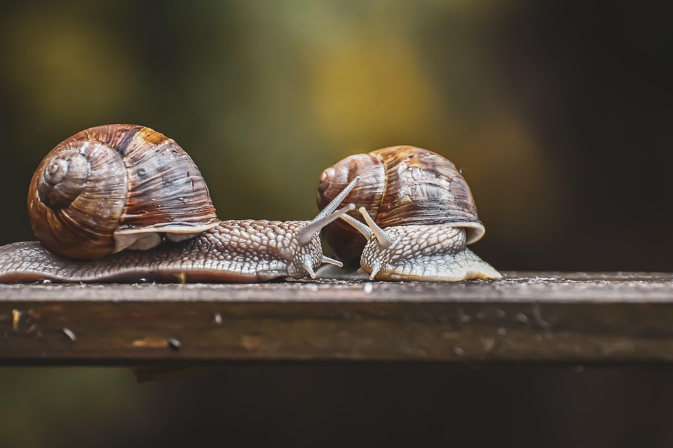 Understanding Slow Travel: Benefits and Concepts