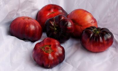 Understanding Veganism: A Beginner’s Guide