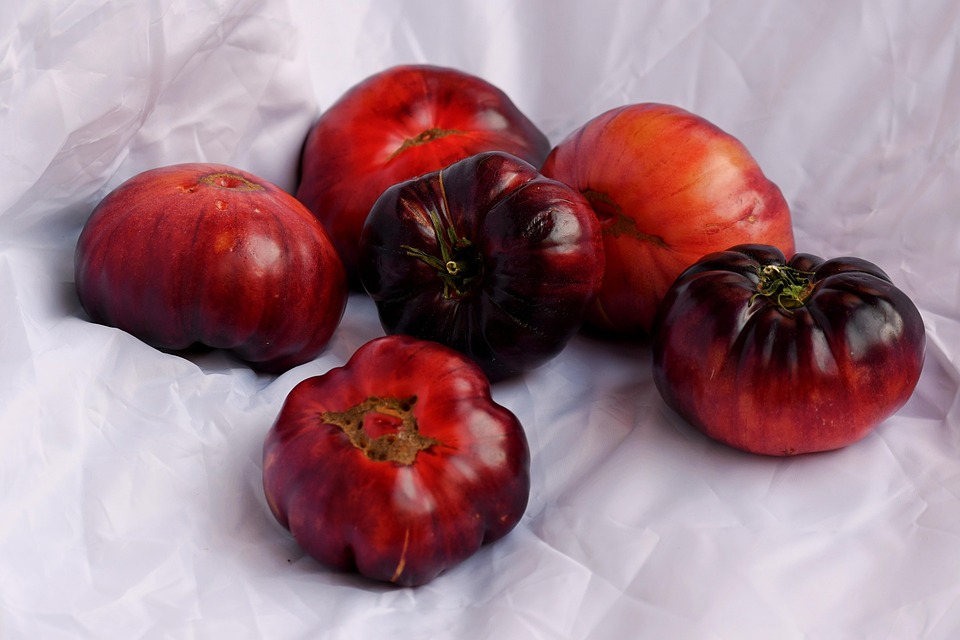 Understanding Veganism: A Beginner’s Guide