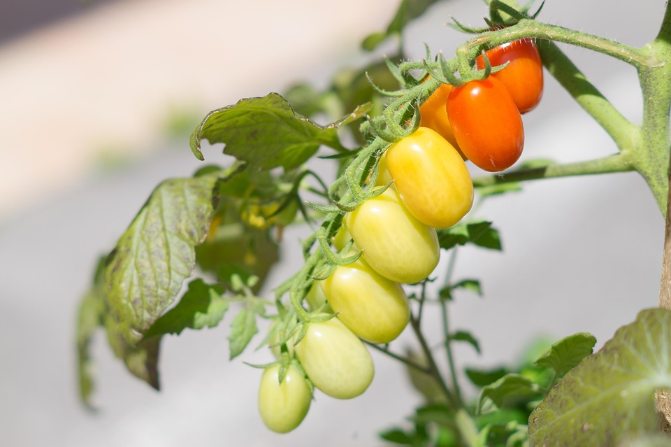 What Is the Mediterranean Diet? A Complete Guide What Is the Mediterranean Diet? A Complete Guide
