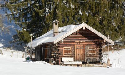 Winter Wellness: Tips to Stay Healthy All Season