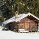Winter Wellness: Tips to Stay Healthy All Season